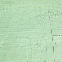 Chroma: Green 2135, digital photo, 45 x 30 cm