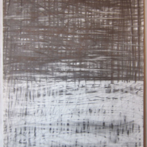 Rush, graphite on paper, 48 x 36 cm / 19 14 1/4 in.