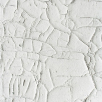 White 0445, digital photo on Fine Art Rag paper, ed. 3/5, overall with margin: 54.5 x 40 cm