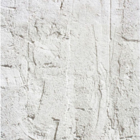White 1063, digital photo on Fine Art Rag paper, overall with margin: 54.5 x 40 cm